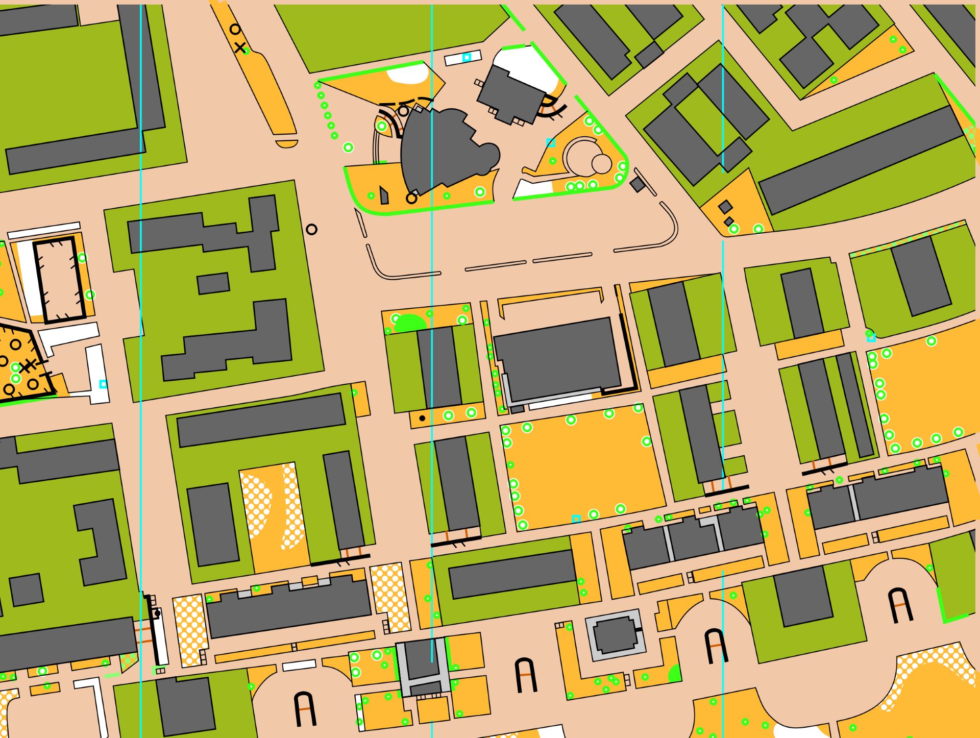 Dettaglio di una mappa cartografica per l'orienteering con simboli e curve di livello